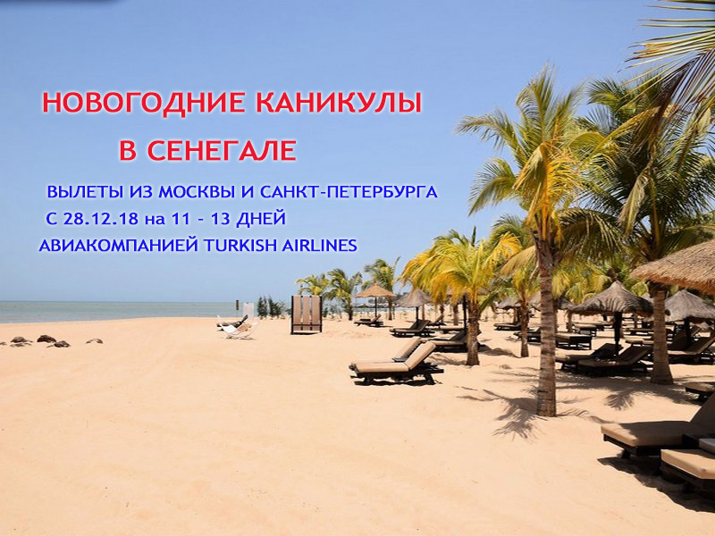 Пляжный отдых в Сенегале Пляжный отдых в Сенегале